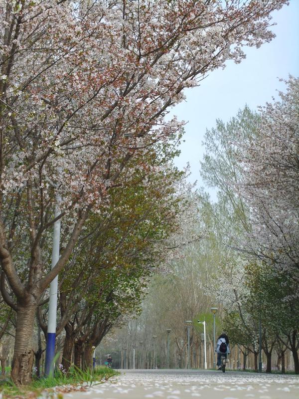 经贸后花园