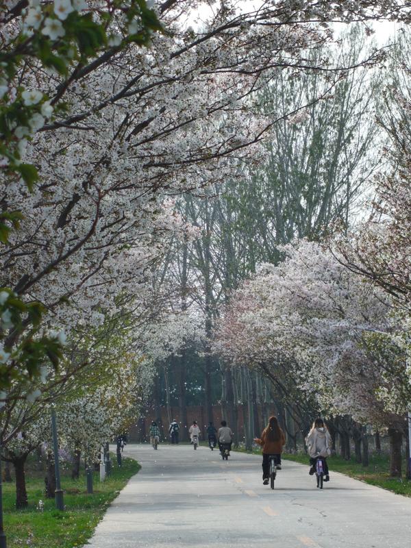 经贸后花园