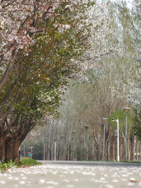 经贸后花园